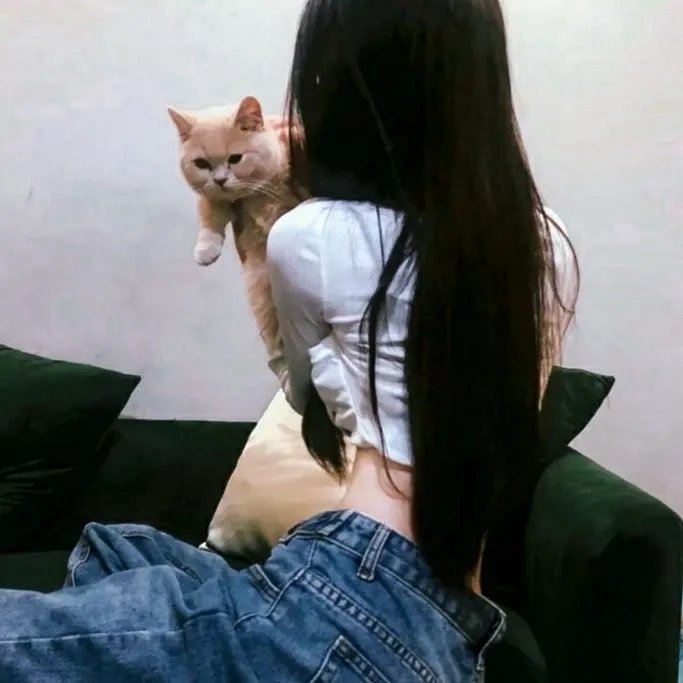 以藏
