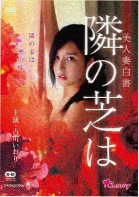 《版本比对基础》封面占位色块